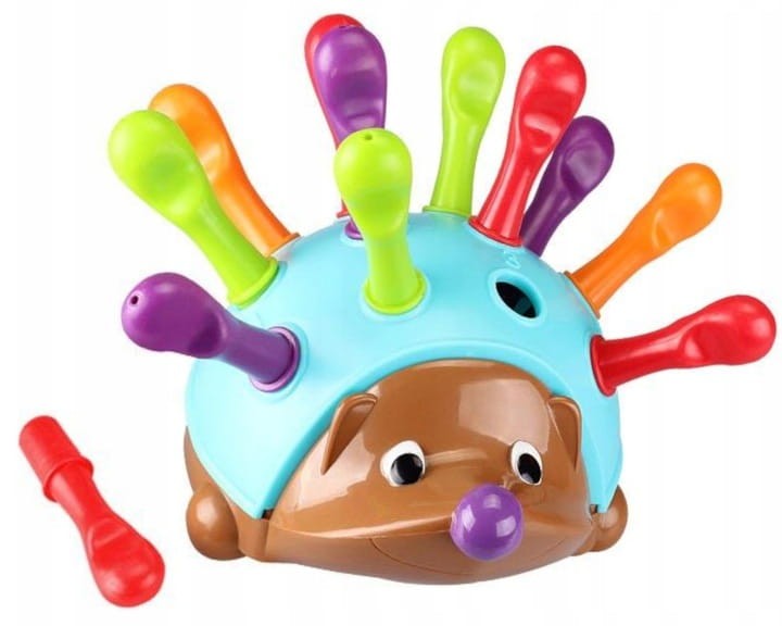 jeżyk sensoryczny kolorowy sorter